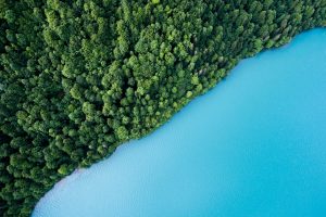 forest-and-lake-from-birds-eye-view