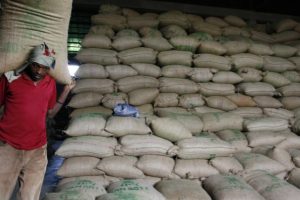 bags-of-coffee-beans-on-farm