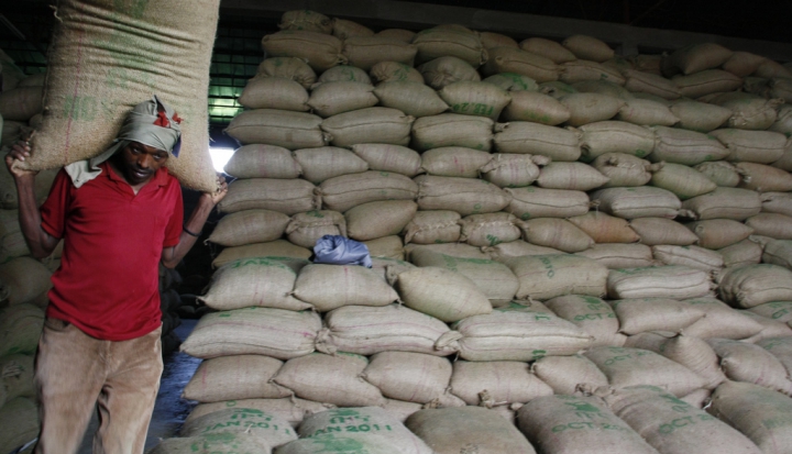 bags-of-coffee-beans-on-farm