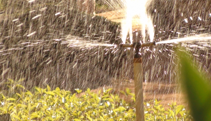 sprinkler-watering-lawn