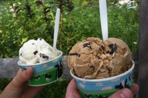 BenandJerrys_Flickr_Qfamily