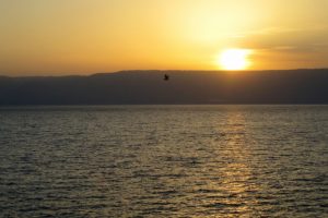 photo 12 - Sunrise over Galilee