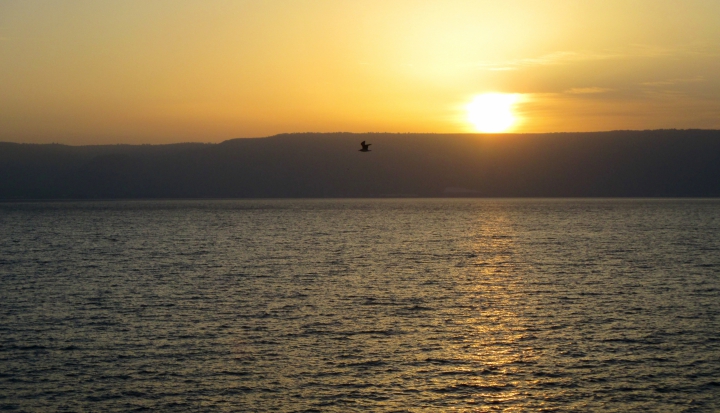 photo 12 - Sunrise over Galilee