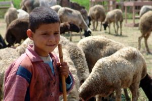 shepherd boy_Flickr_ErnieR