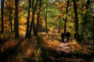 Lenten path_Flickr