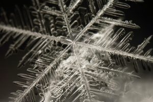 snowflake fractal_Flickr