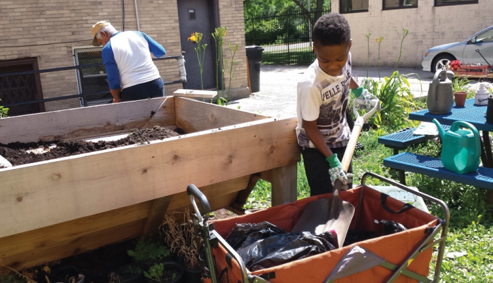 young-boy-helping-in-community-garden