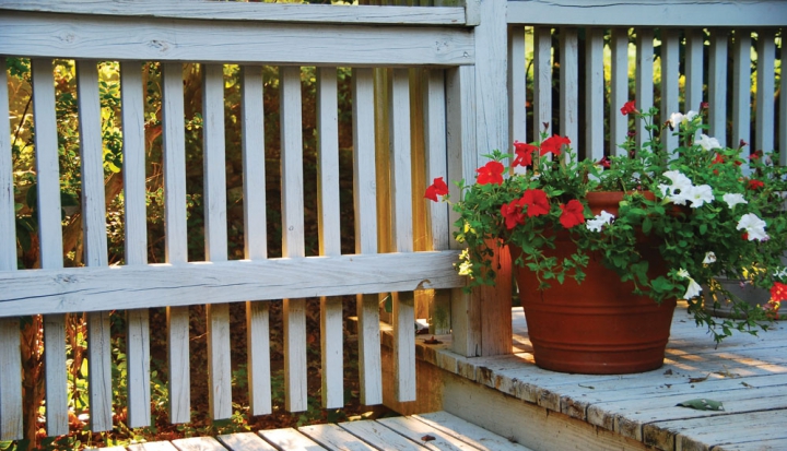 porch-with-flowers