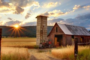 farm-in-wheat-field