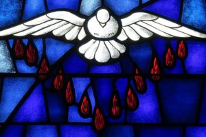 stained-glass-dove