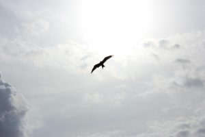 hope_unsplash
