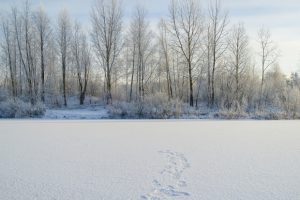 a-frozen-lake