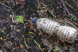 plastic-bottle-buried-in-dirt