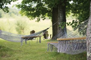 two-hammocks-swing-from-trees