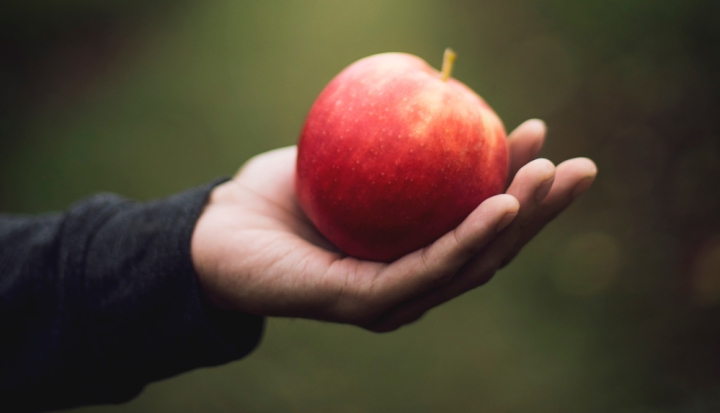 hand-holding-an-apple
