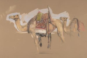 artistic-rendering-of-camel