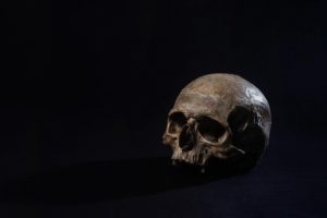 a-human-skull-sits-in-a-dark-room (1)