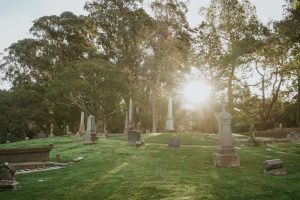 the-sun-shines-through-trees-at-cemetery