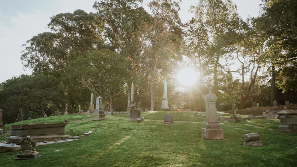 the-sun-shines-through-trees-at-cemetery