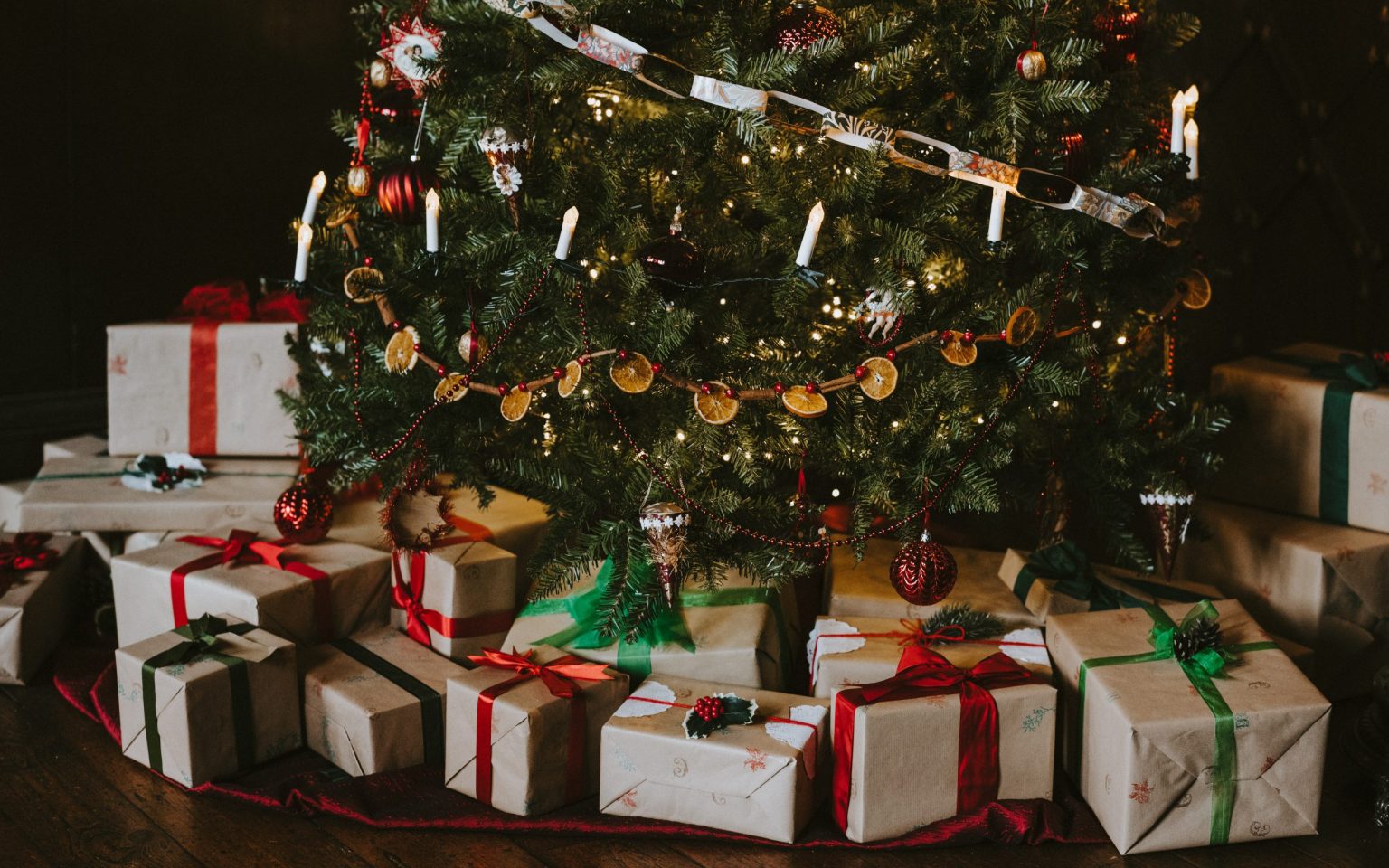 Do Christmas trees have pagan roots?