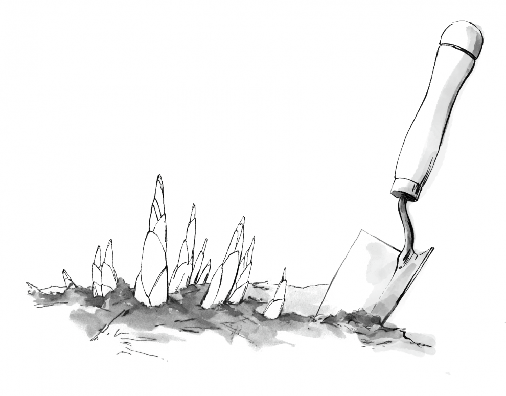 trowel-in-the-ground-beside-sprouting-plants