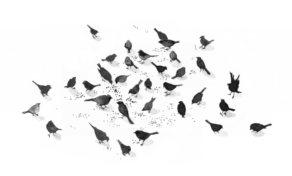 flock-of-crows-in-snow