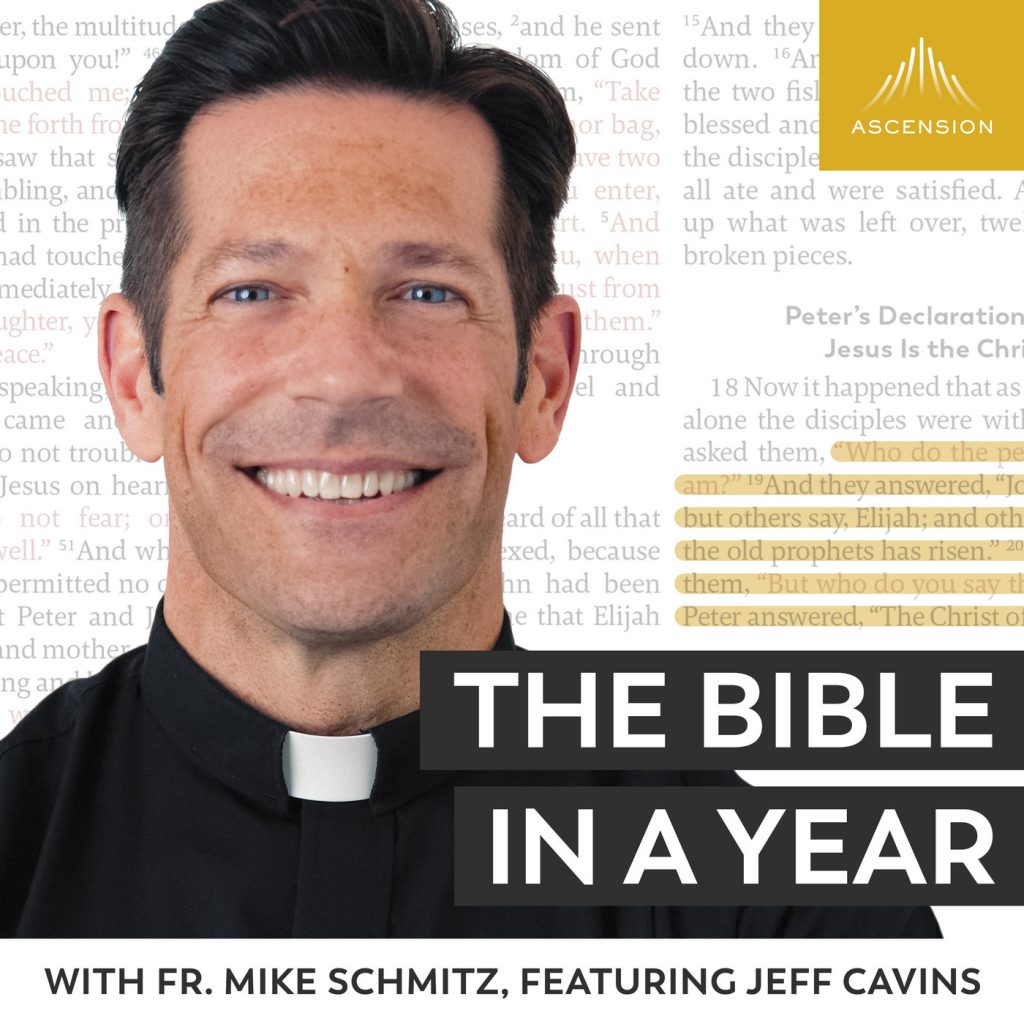 the-bible-in-a-year