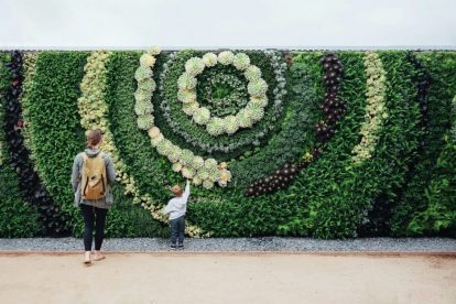 woman-and-child-looking-at-flowers-arranged-in-spiral