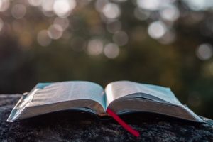 open-bible-sitting-on-stone