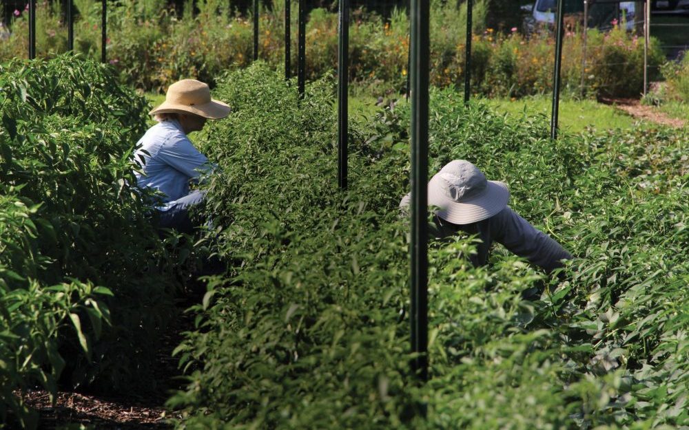 Farmers fear dust rules won't reflect rural life