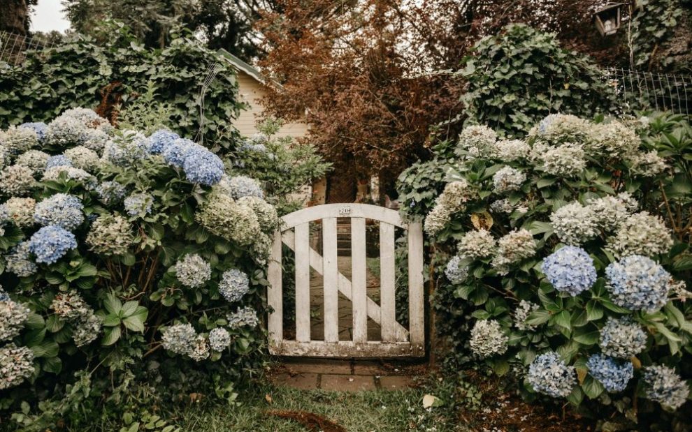 flowers-beside-garden-gate