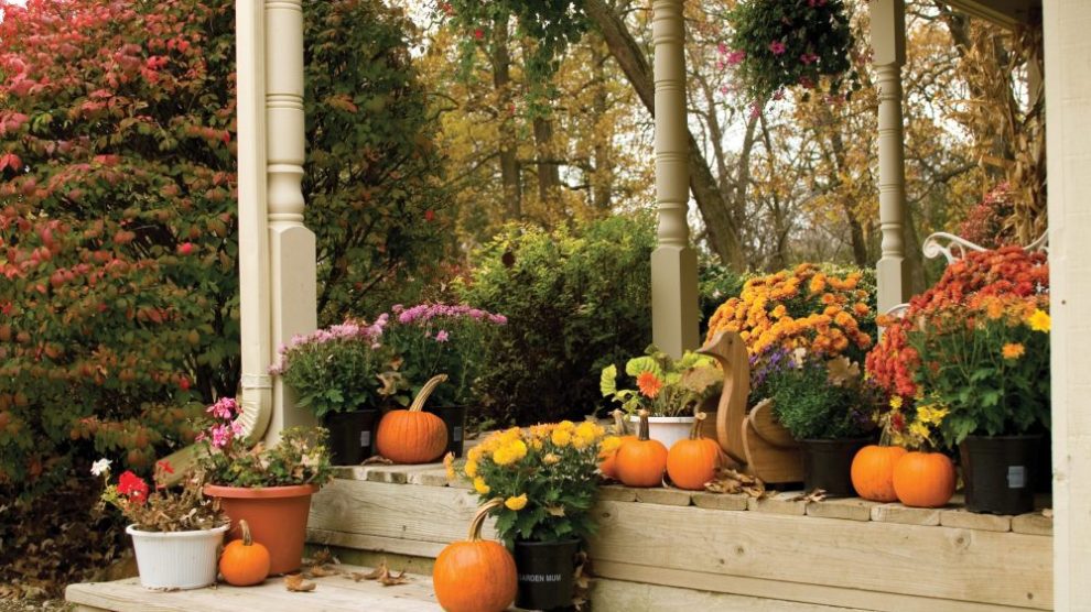 porch-decorated-for-fall