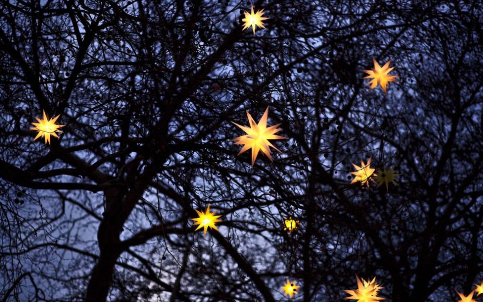 glowing-christmas-stars-in-trees