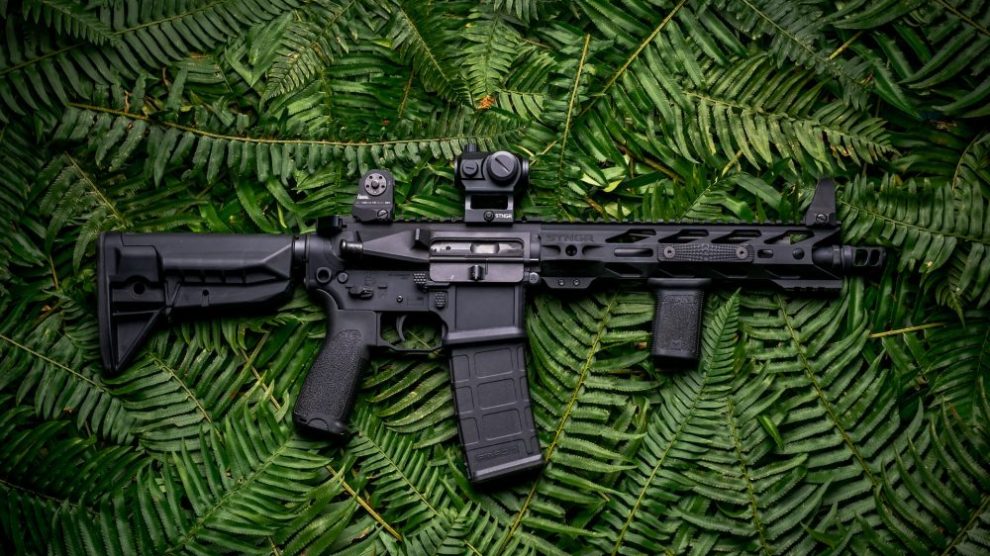 ar-15-rifle-on-green-leafy-background
