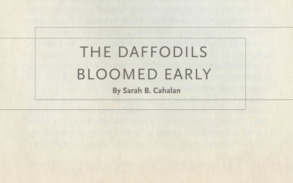 poem title and author name