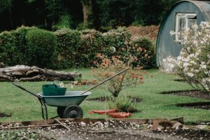 wheelbarrow-and-shed-in-backyard-garden