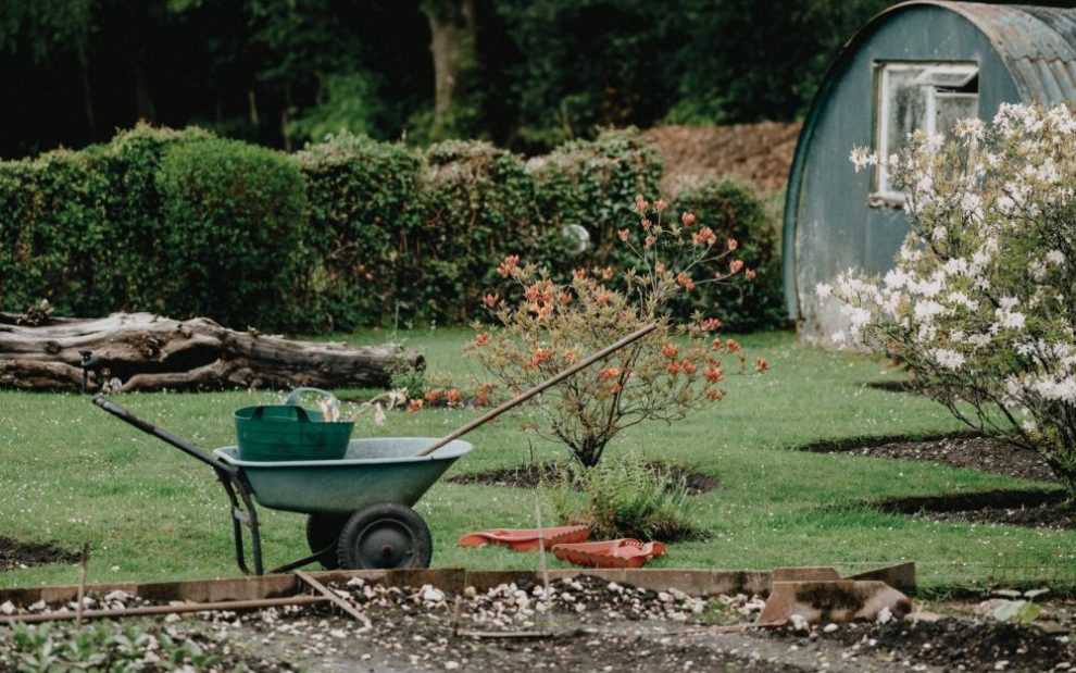 wheelbarrow-and-shed-in-backyard-garden