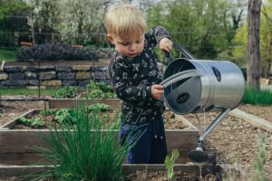 child-watering-plants-in-garden