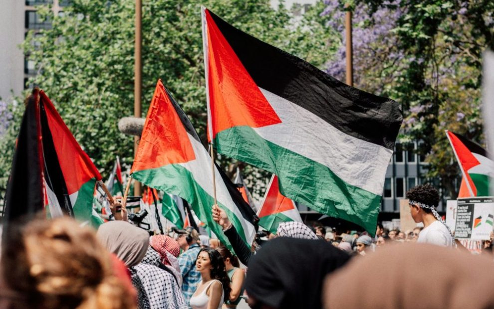 people-at-pro-palestine-protest
