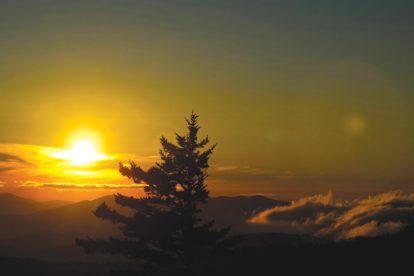 sunset-over-forest