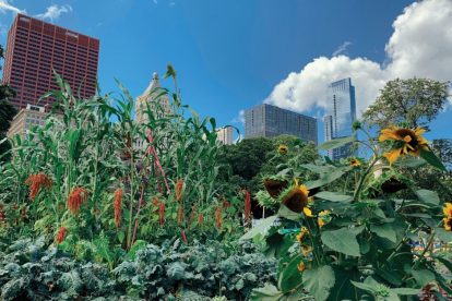 u-s-catholic-urban-farming