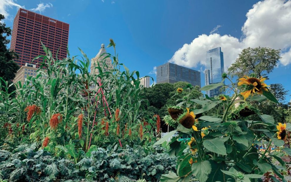 u-s-catholic-urban-farming