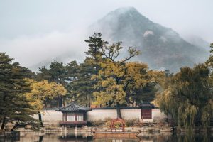 u-s-catholic-seoul-nature-photo