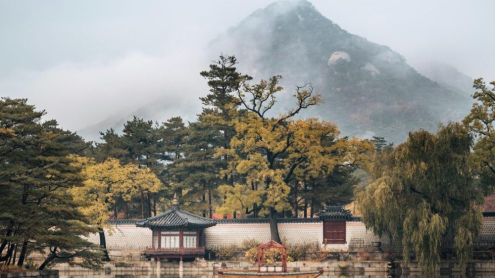u-s-catholic-seoul-nature-photo