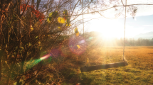 u-s-catholic-tree-swing-at-sunset