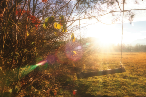 u-s-catholic-tree-swing-at-sunset