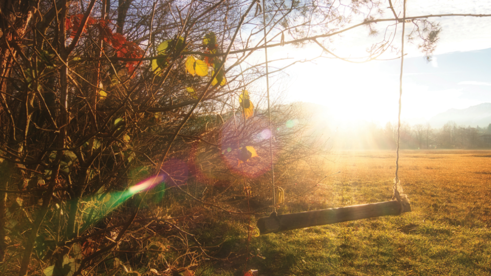 u-s-catholic-tree-swing-at-sunset