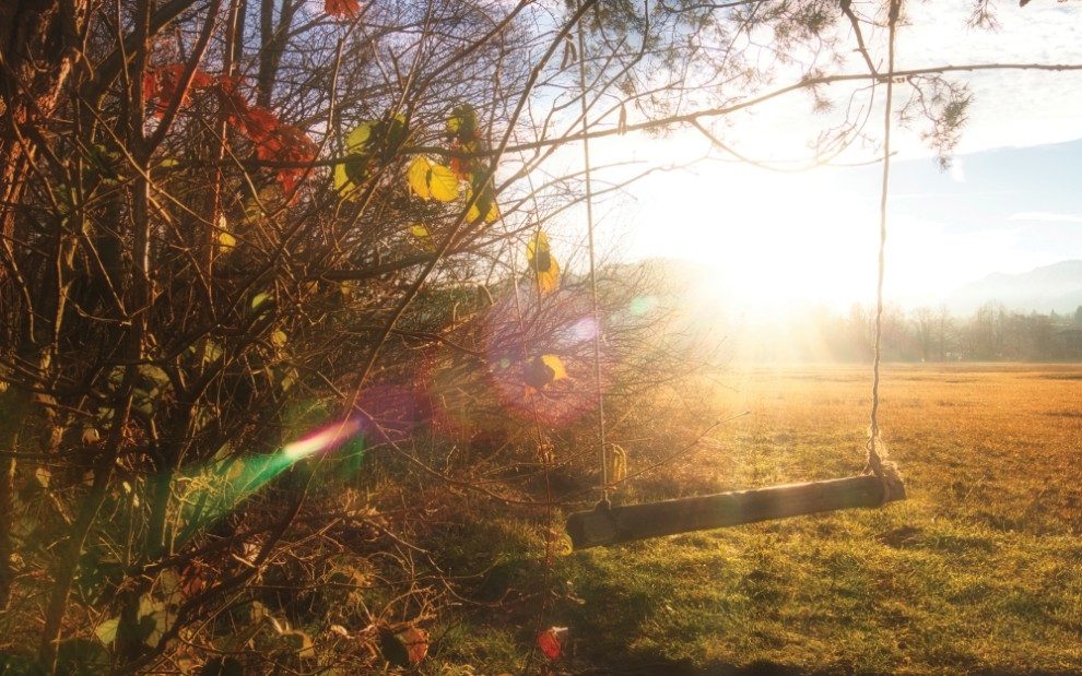 u-s-catholic-tree-swing-at-sunset