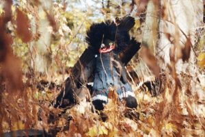 u-s-catholic-billy-woods-golliwog-album-cover
