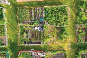 Overhead shot of gardens